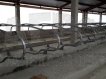 Оборудование для беспривязного содержания КРС 15