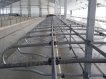 Оборудование для беспривязного содержания КРС 8