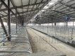 Оборудование для беспривязного содержания КРС 2