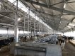 Оборудование для беспривязного содержания КРС 21