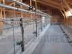 Оборудование для привязного содержания КРС 9