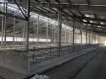 Оборудование для беспривязного содержания КРС 23