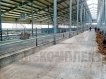 Ограждение кормового стола: регулируемый по высоте брус 4