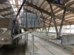Оборудование для беспривязного содержания КРС 29