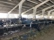 Ограждение кормового стола: регулируемый по высоте брус 1