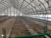 Оборудование для беспривязного содержания КРС 24