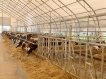 Ограждение кормового стола: регулируемый по высоте брус 3