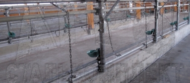 Содержание крупного рогатого скота (КРС) в стойлах