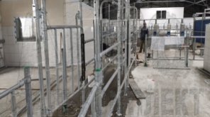 Ограждения скотопрогонов, калитки и ворота для КРС 
