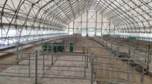 Зачем нужна система ограждений в скотопрогоне и какие задачи она решает