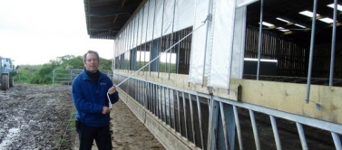 Нужна ли вентиляция в коровнике?