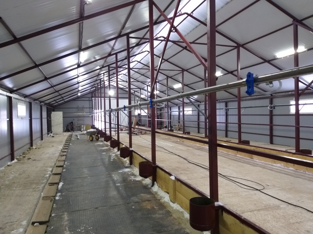 Проектирование и строительство коровника на 50 голов