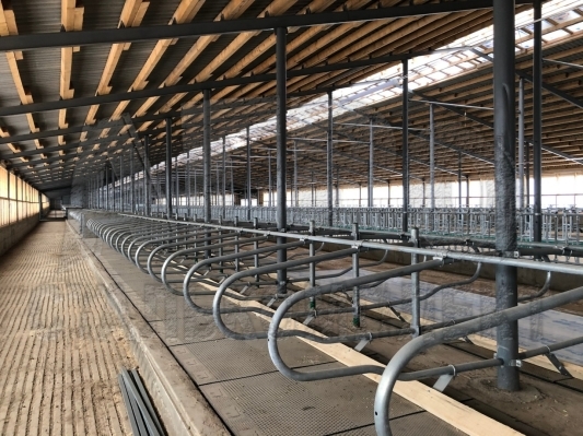 Особенности оснащения стойла для КРС